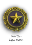 Gold Star pin