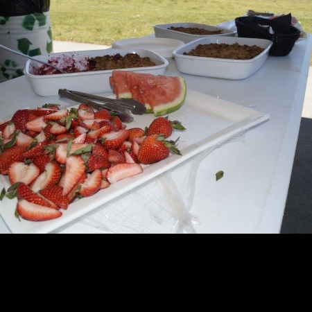 Helping Hands for Freedom's 1st Anual Gold Star Picnic in Littleton, Colorado