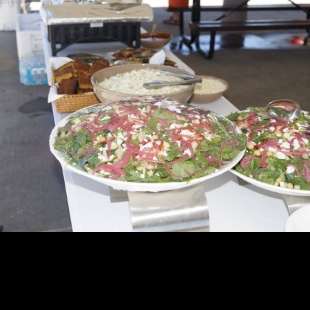 Helping Hands for Freedom's 1st Anual Gold Star Picnic in Littleton, Colorado