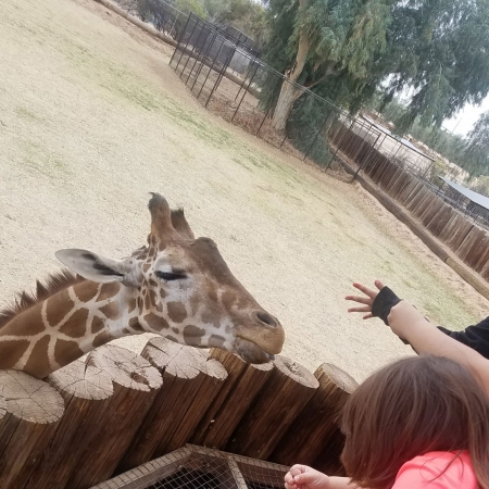 Wildlife Zoo in March with Gold Star families