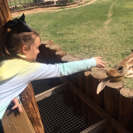 Wildlife Zoo in March with Gold Star families